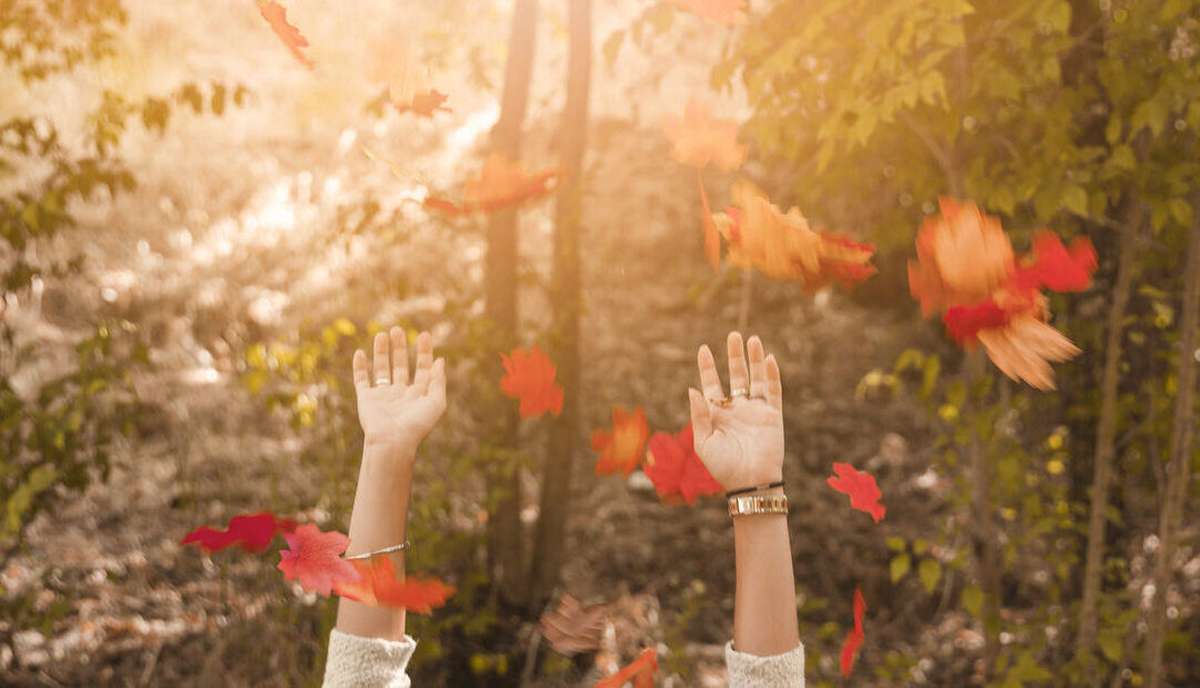 Ancient Wisdom for a Modern Nervous System: Aparigraha and Letting Go